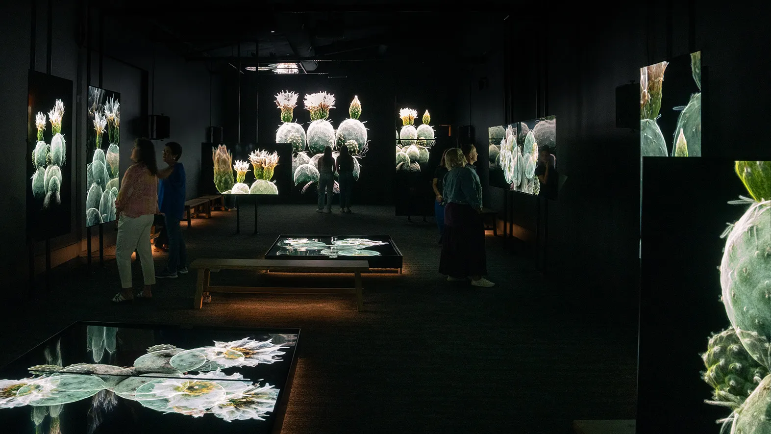 Photo credit: Rick White-Pickett