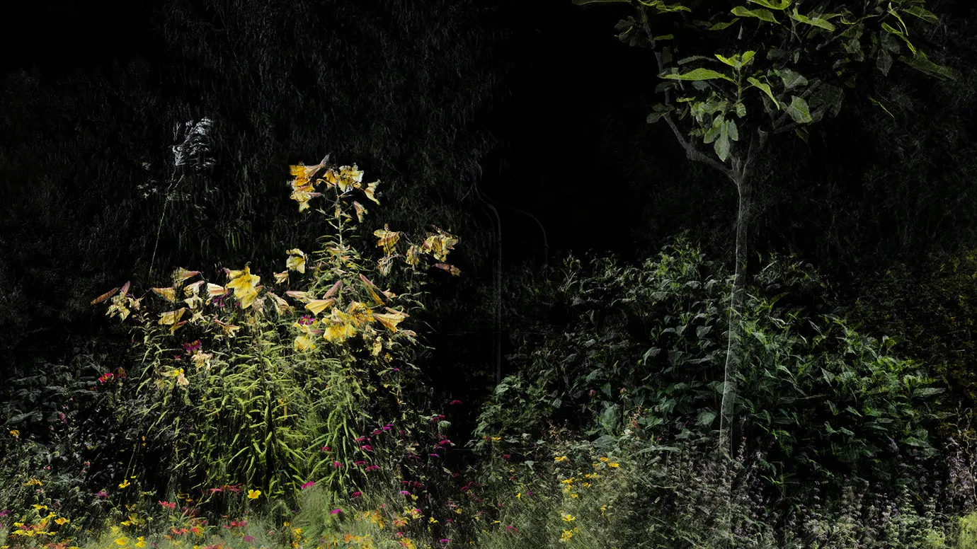 Photo credit: ScanLAB Projects